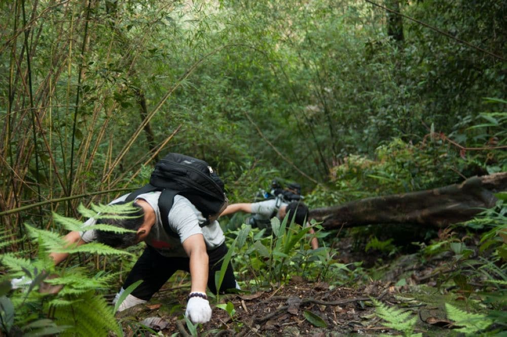Trải nghiệm trekking ở vườn quốc gia Tam Đảo